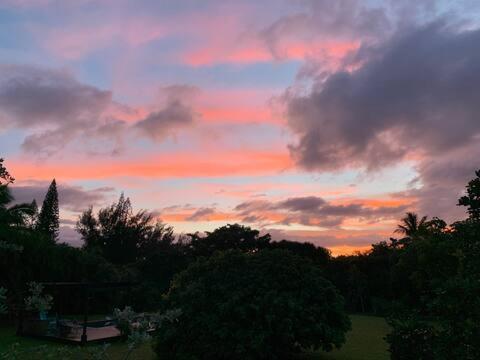 North Shore Garden Suite Haleiwa Bagian luar foto