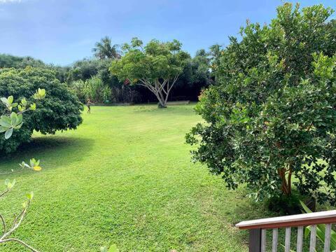 North Shore Garden Suite Haleiwa Bagian luar foto